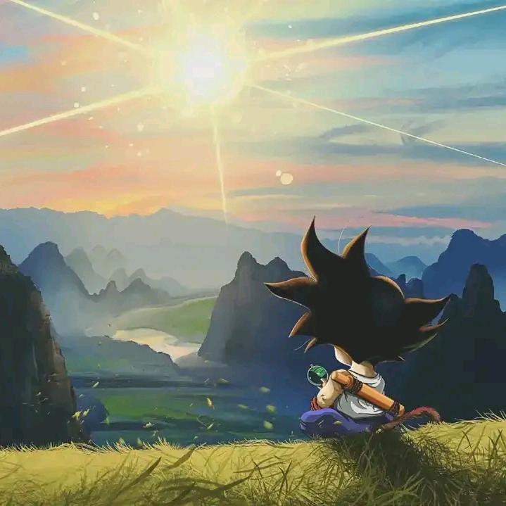 追星