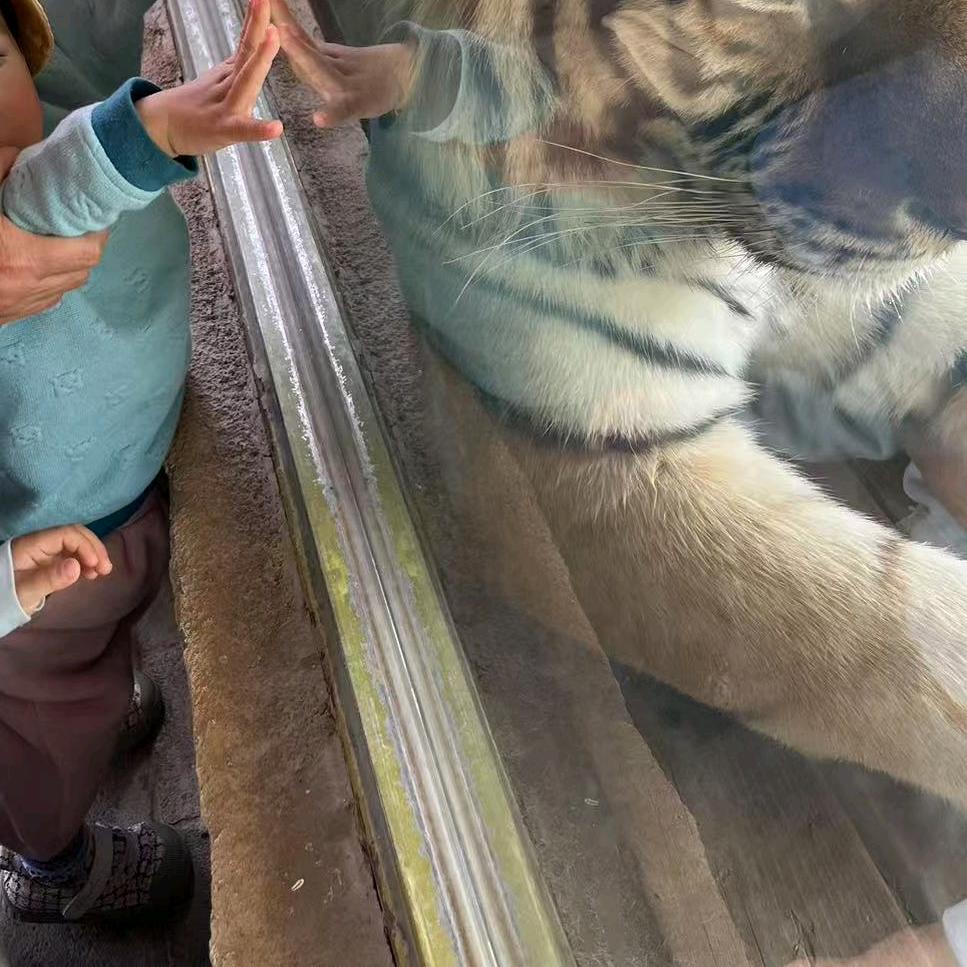 南巷清风