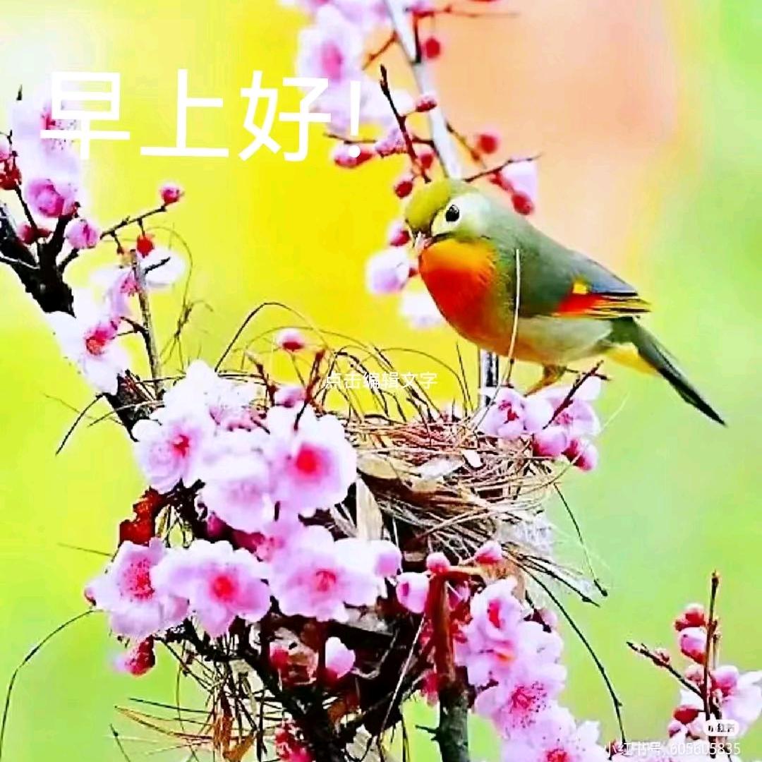 平安姐姐