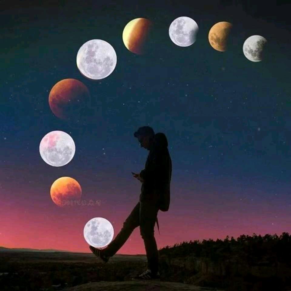 🌸 一切随缘 🌸