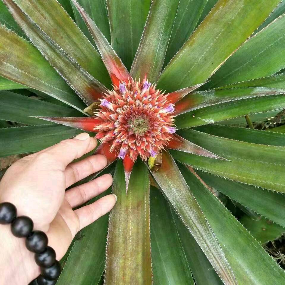 生活有你更精彩