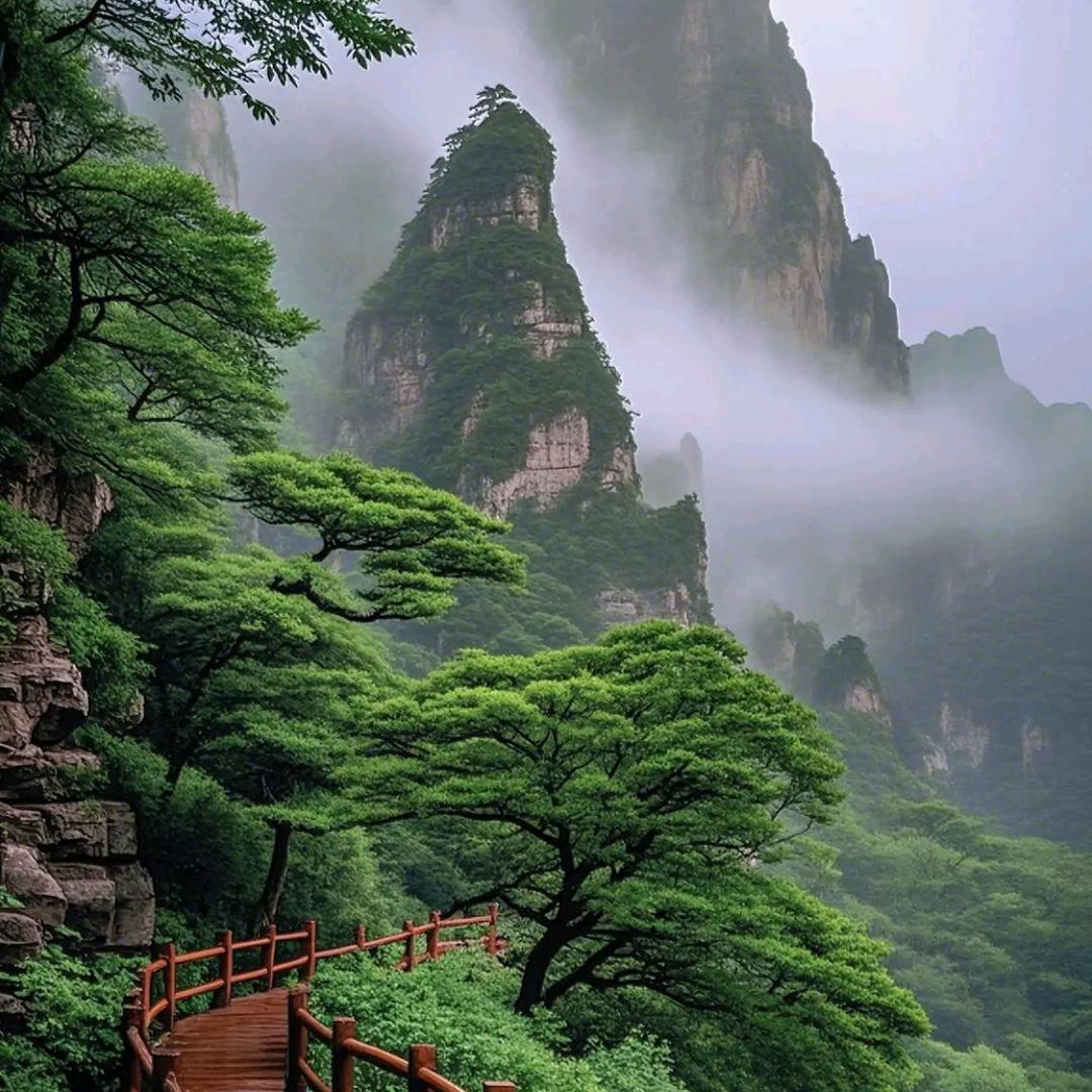厚德载福