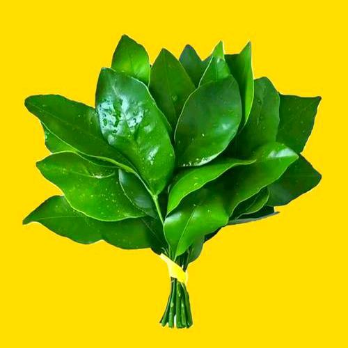 ۵⃟旧事☯三杯᭄₁₉⁸¹༒