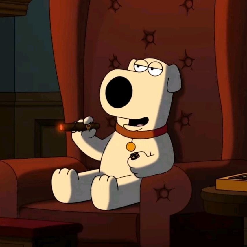 *砸瓦鲁多就是最强替身*