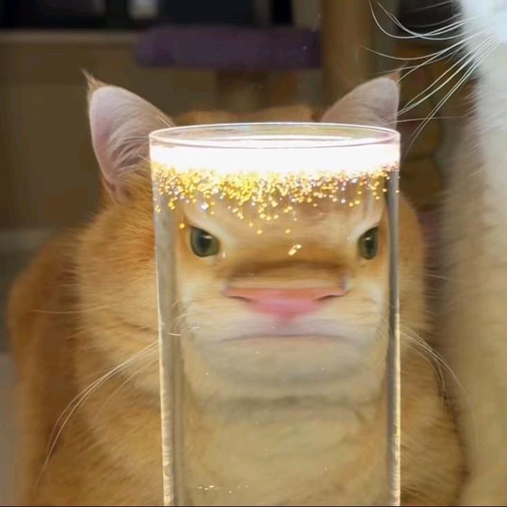 喵呜neko?