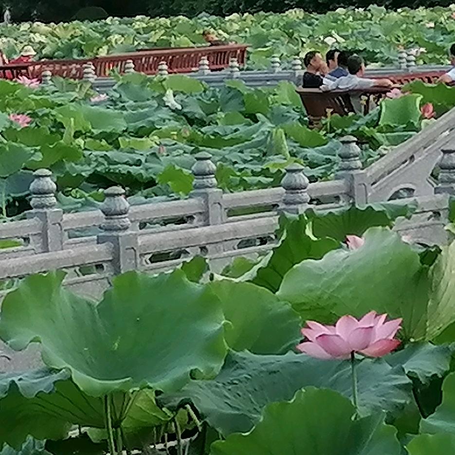 用户人知初