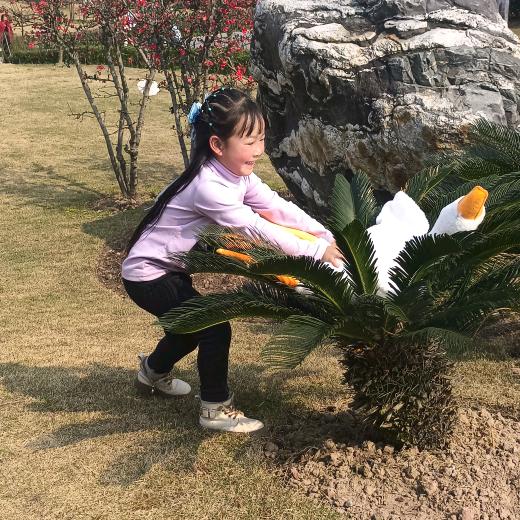 ❤️平安ゞの喜乐