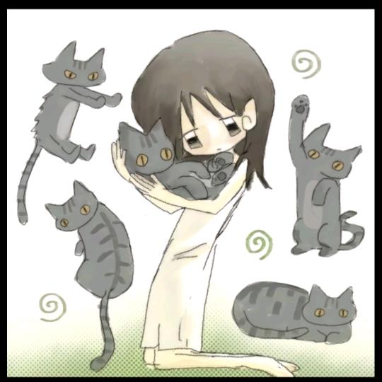 天才小猫
