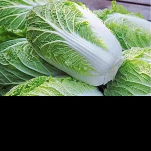 红霞蔬菜批发