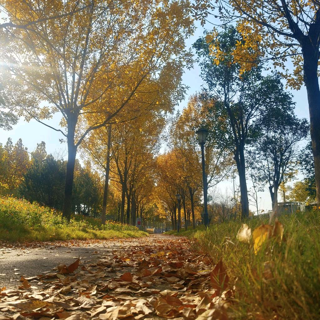 এ᭄心灰意冷꧔ꦿ᭄