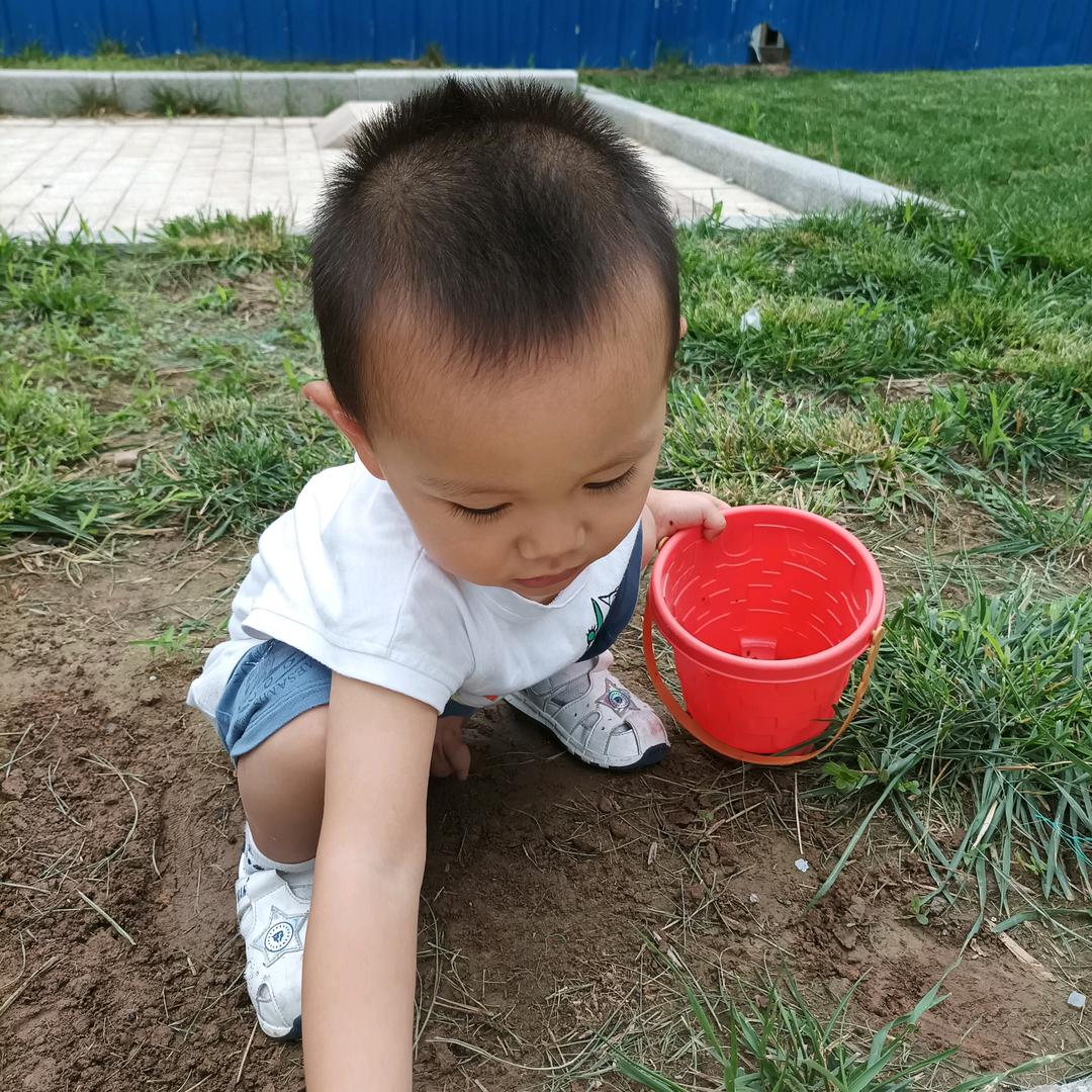 小松鼠  (缝纫🐿️乐园)