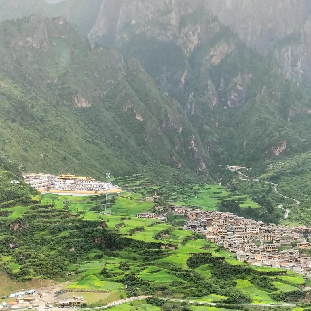 绝情忘爱