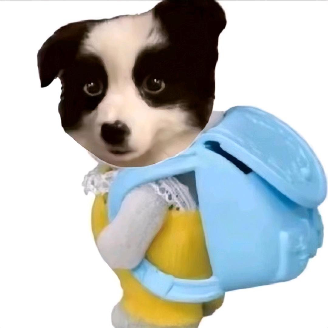 汁汁