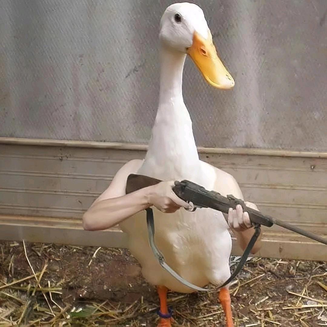 皮皮虾一点也不皮