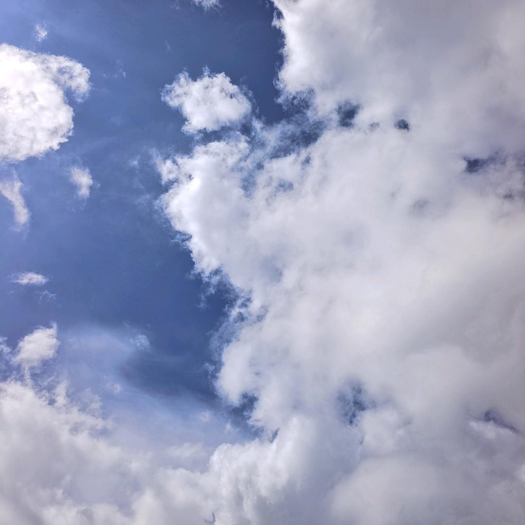123