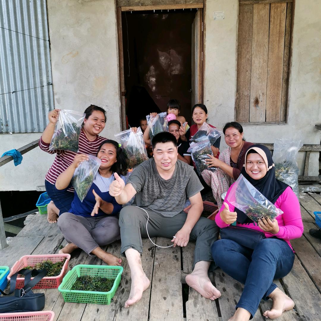 Show.域 草圣（高端水草）