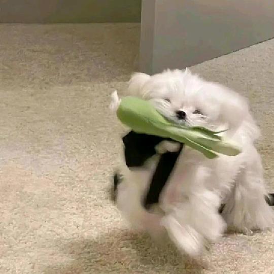扒拉¹口饭