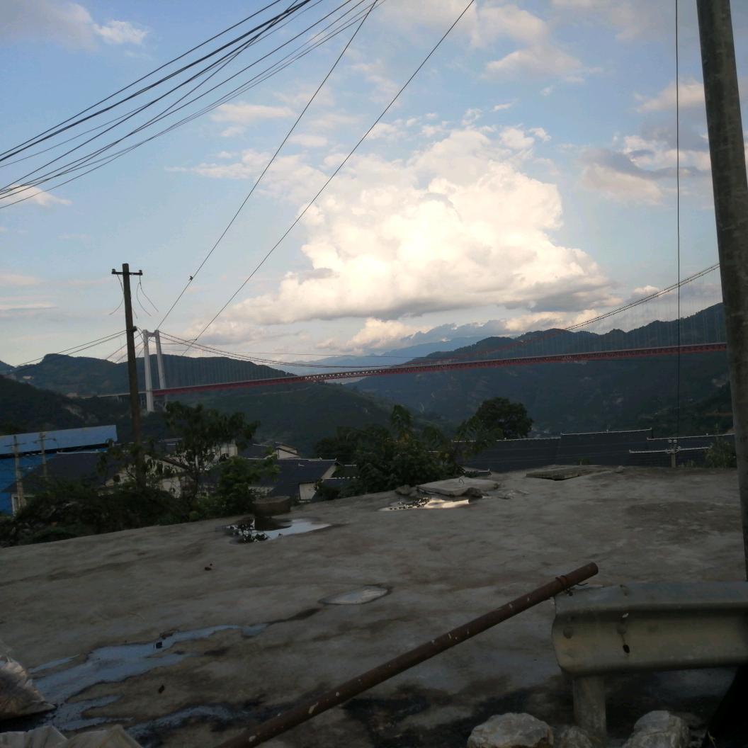 悠然自在