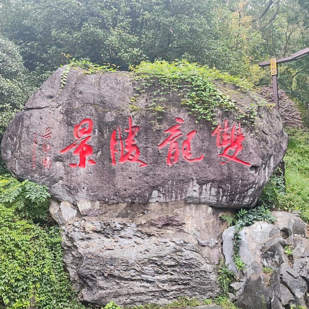 欢乐肥宅水