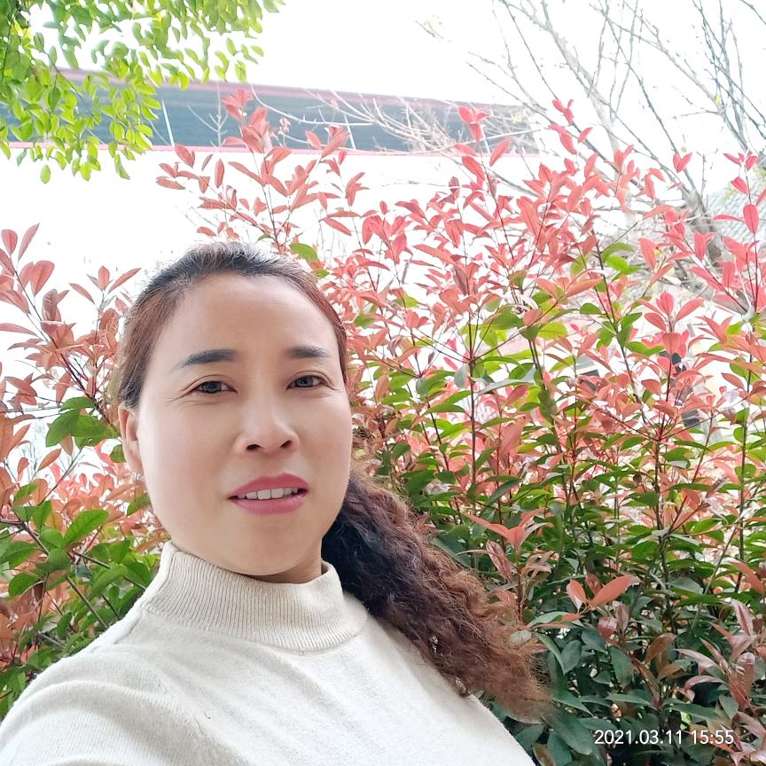 兰儿