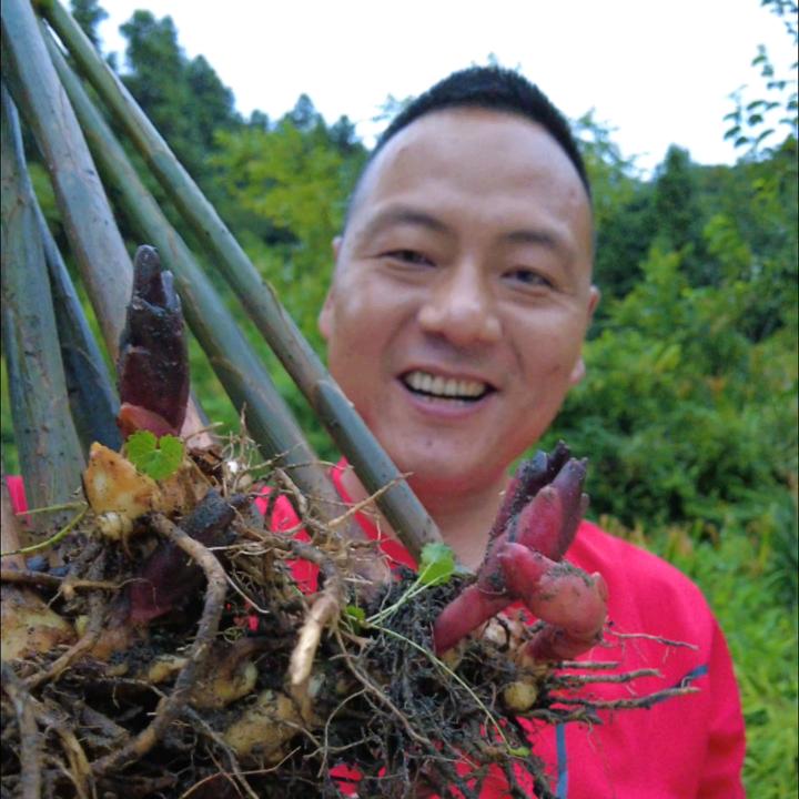 红源地阳荷甄选