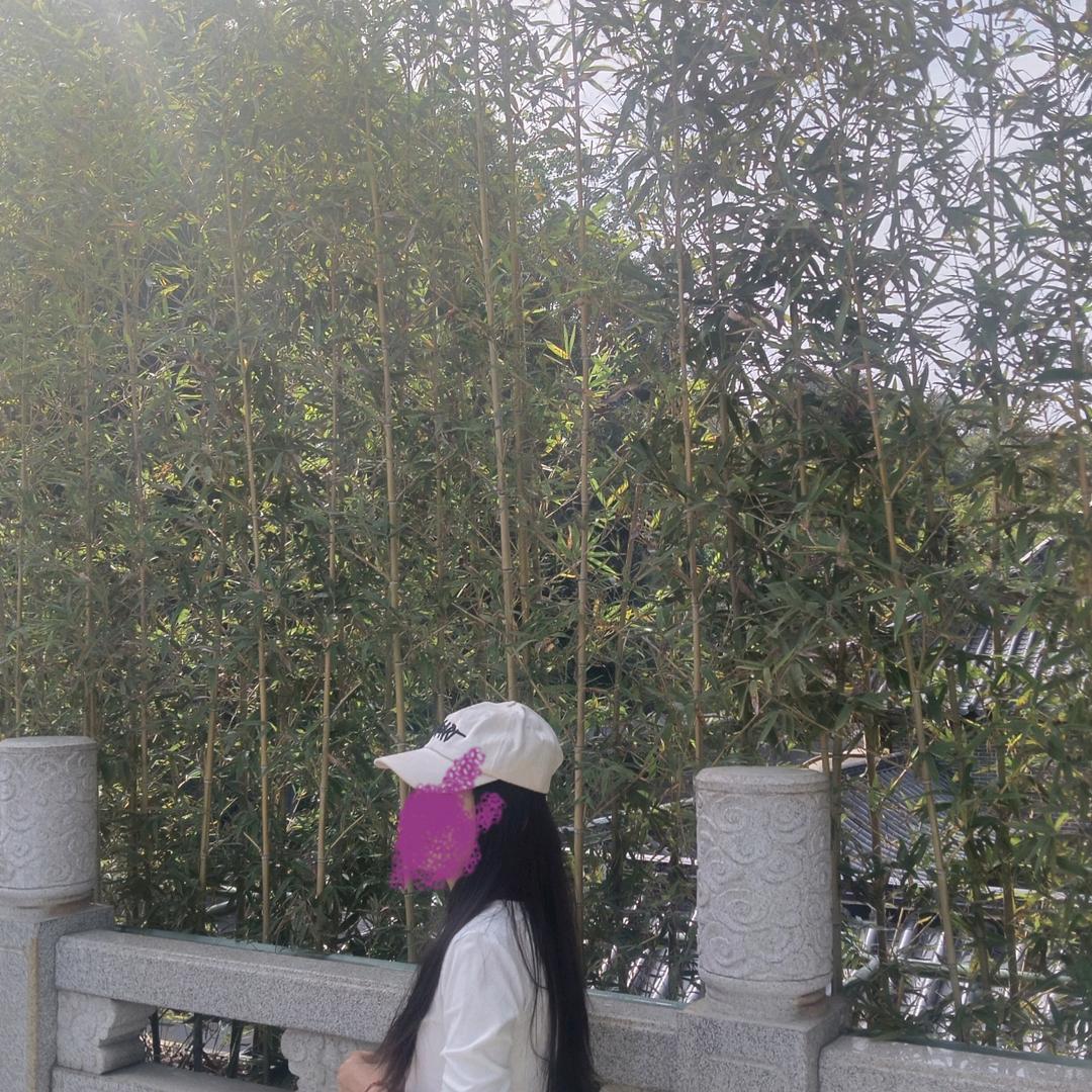 真爱无情，人间没爱