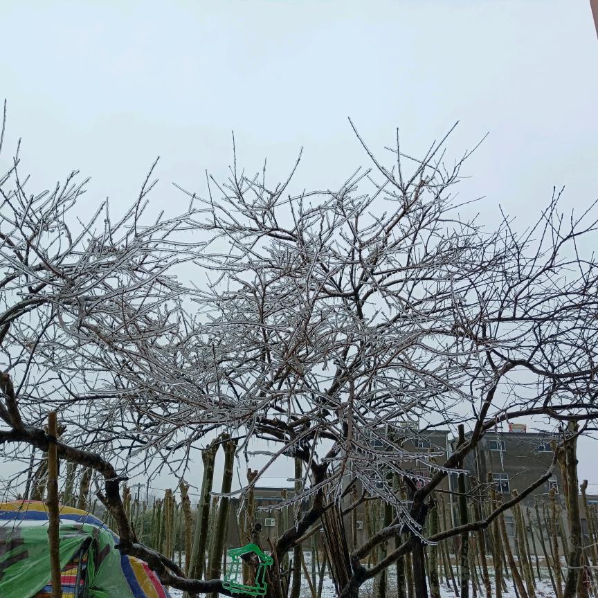 梦想成真