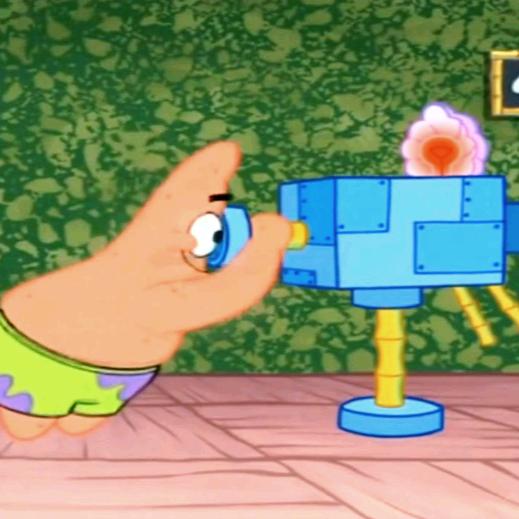 比奇堡的摄影🦁