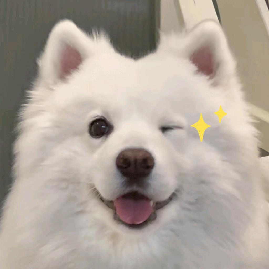 撞进夏天晚风的vv