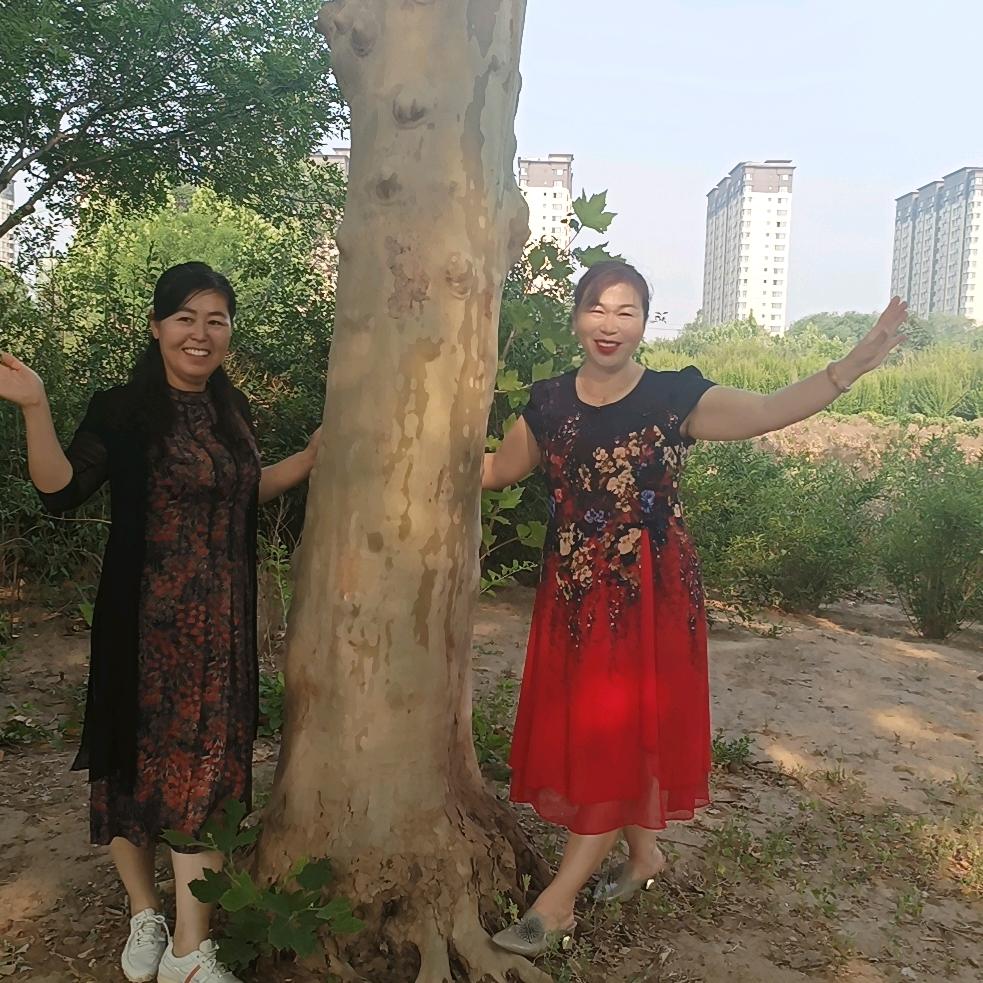 无棣湖左岸爱尚花艺