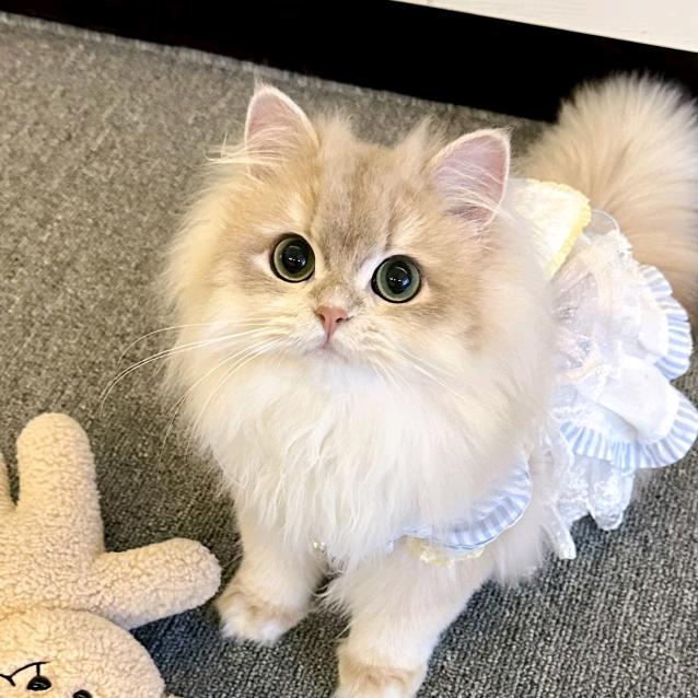 快来看看嘛