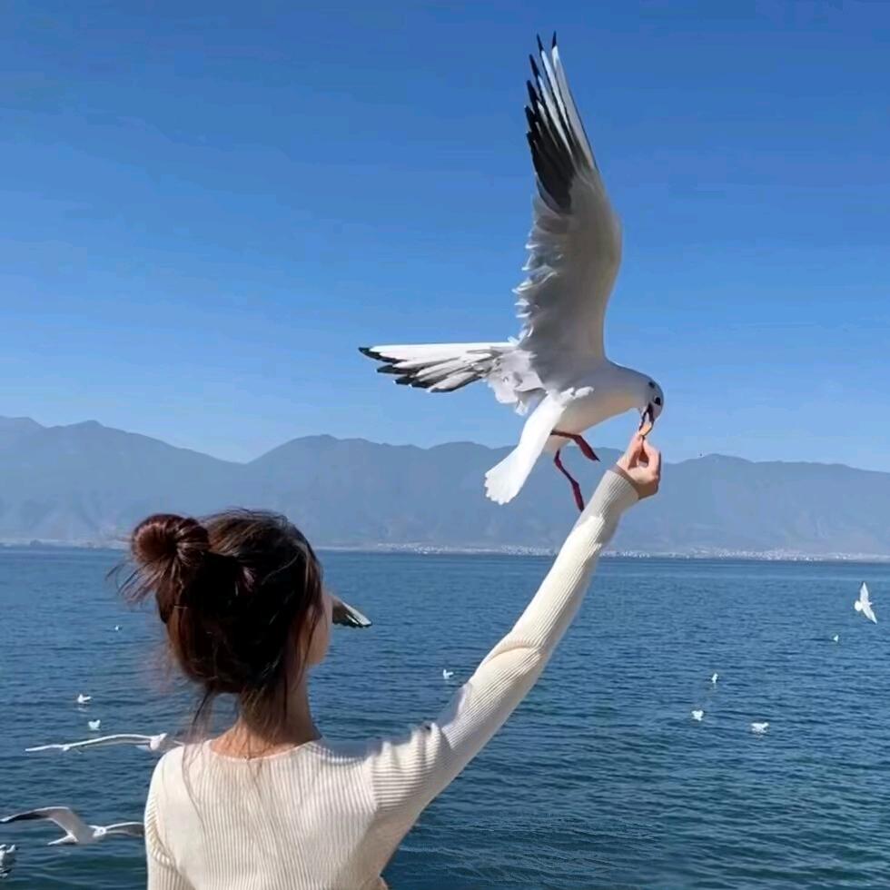 💞ঞ᭄C໊Y໊ꦿഒᩚ࿐