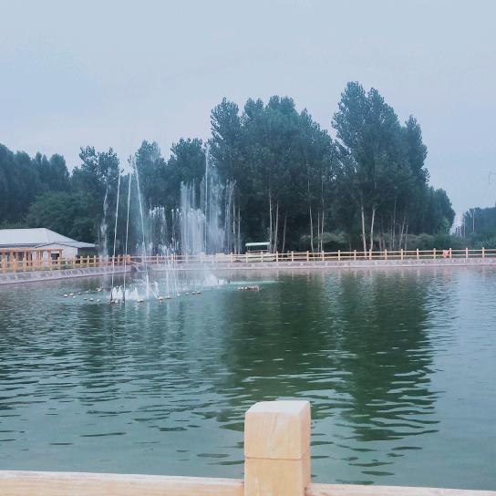李姐li
