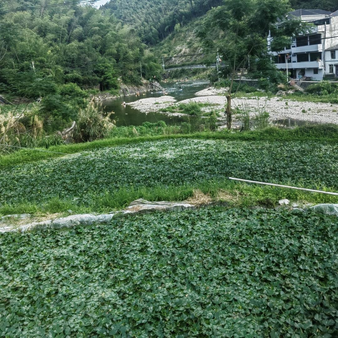廾  匸