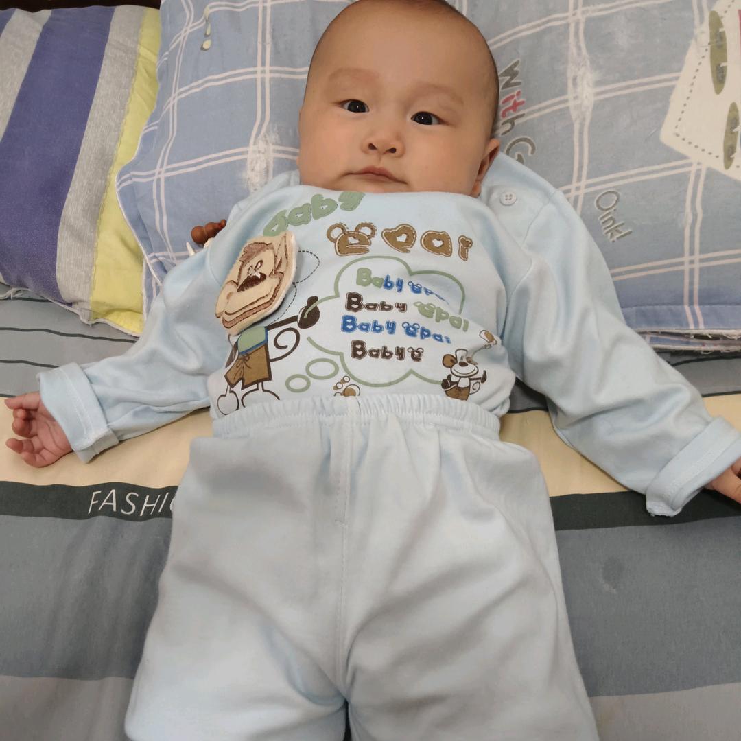 ✨🌙🌺花木🌺🌙💫