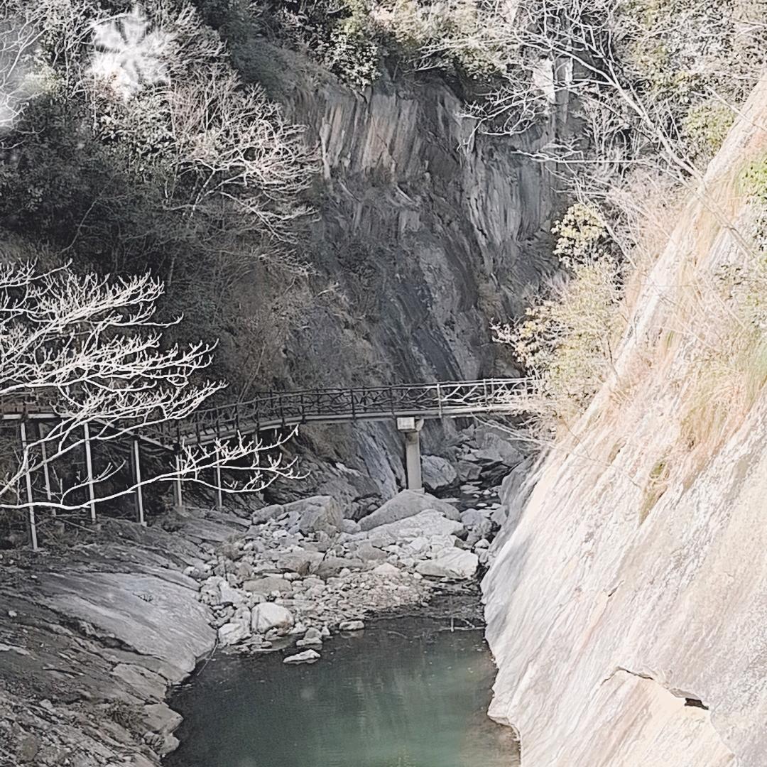 曾经来过。