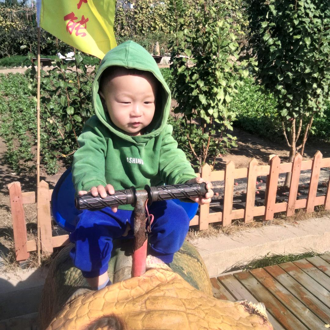 蠛蝶头像