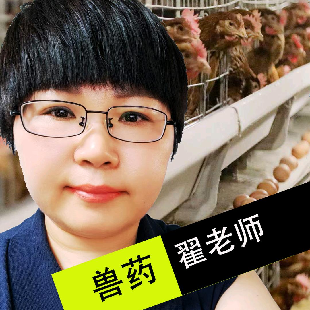 兽药翟老师