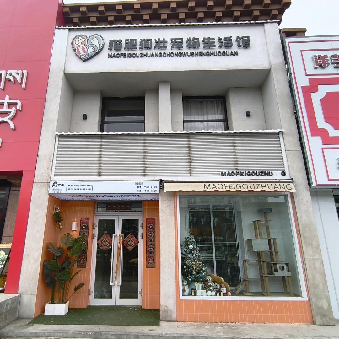 猫肥狗壮宠物店