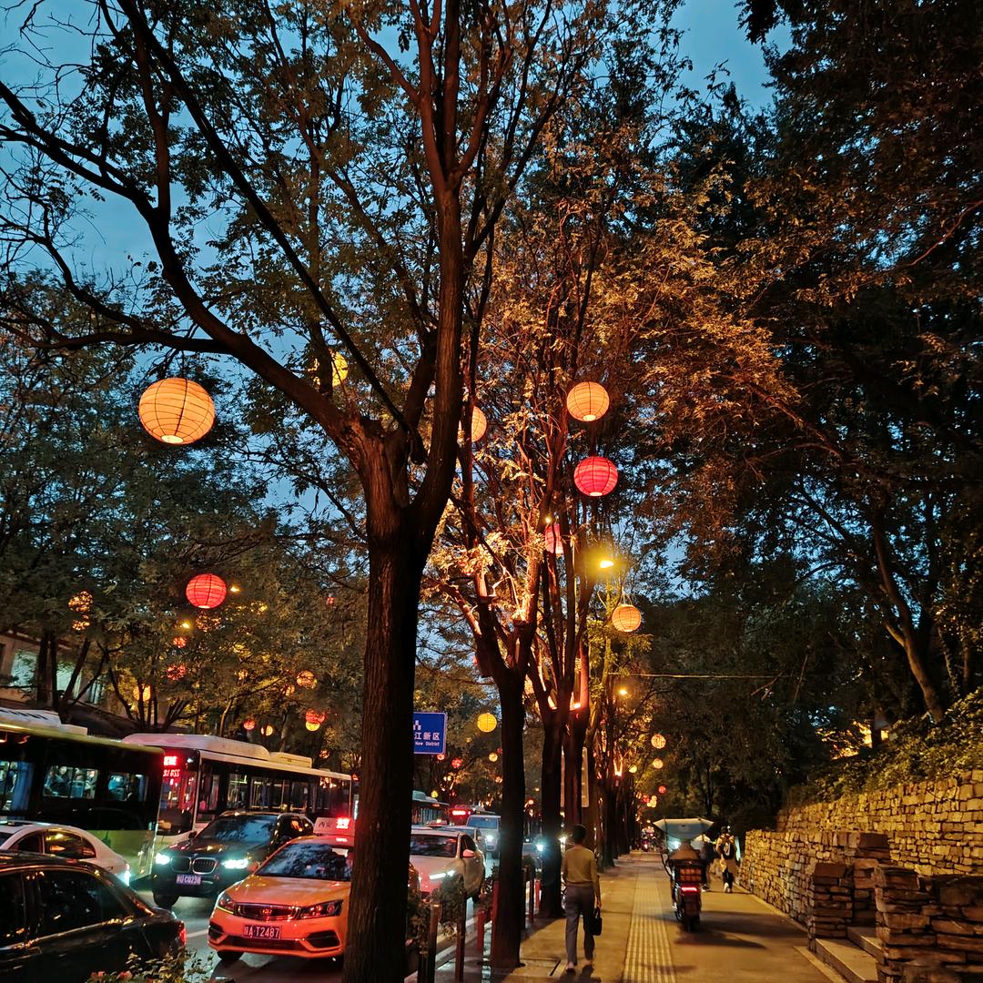 一抹芳馨
