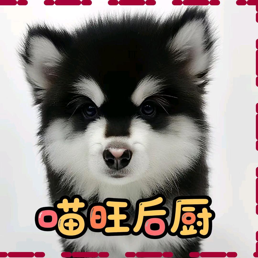 保定汪喵后厨宠物食品有限公司