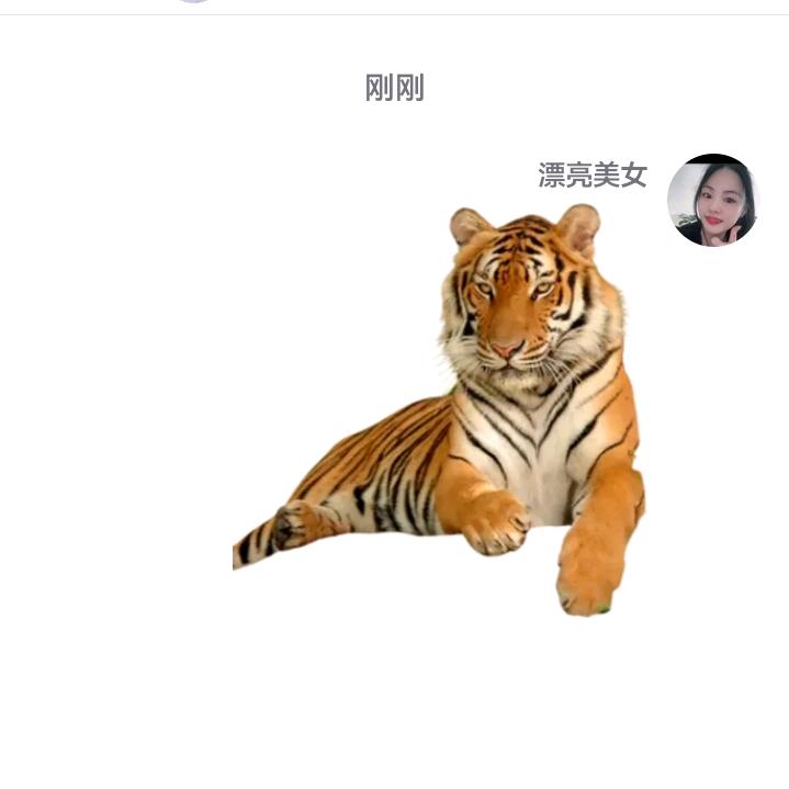 虎哥🐯