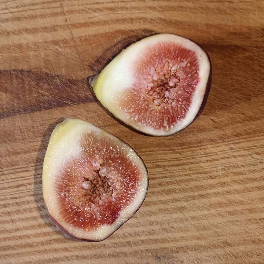 无花无酒锄作田