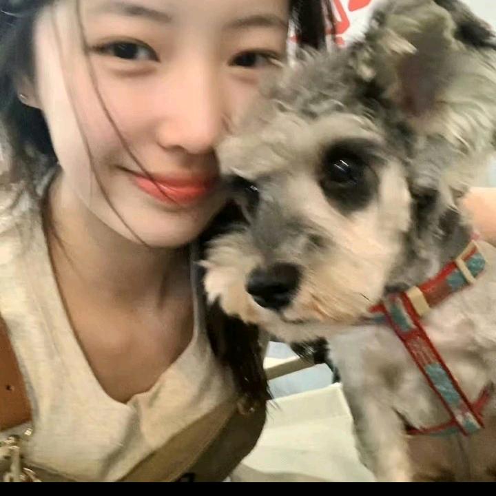 小年糕.