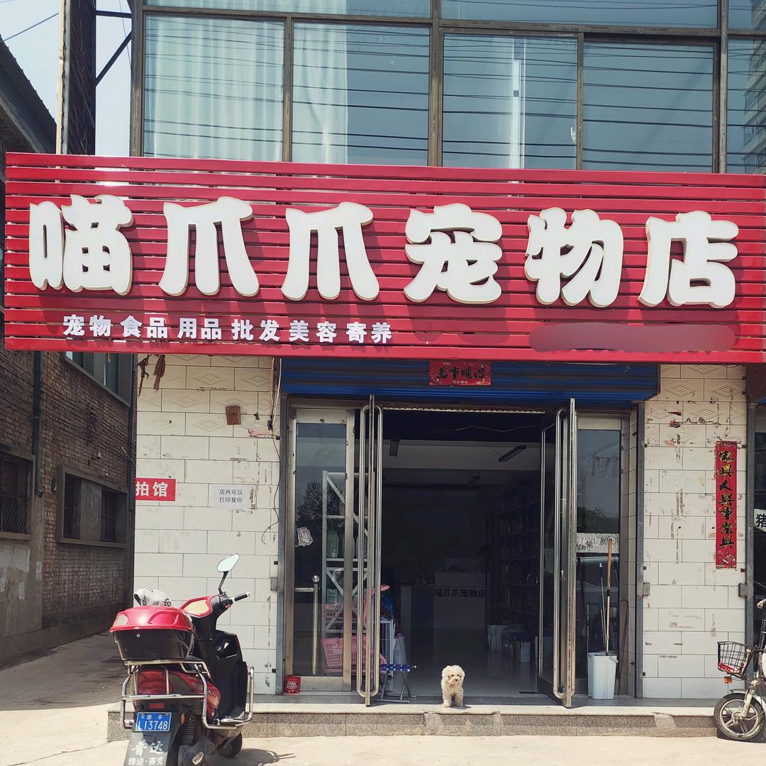 原平喵爪爪宠物店