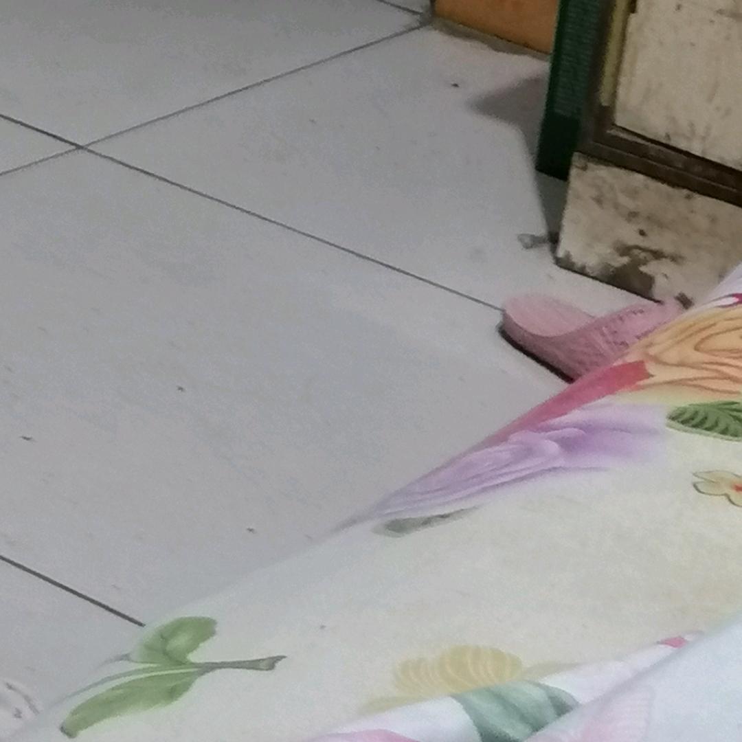 赵老师