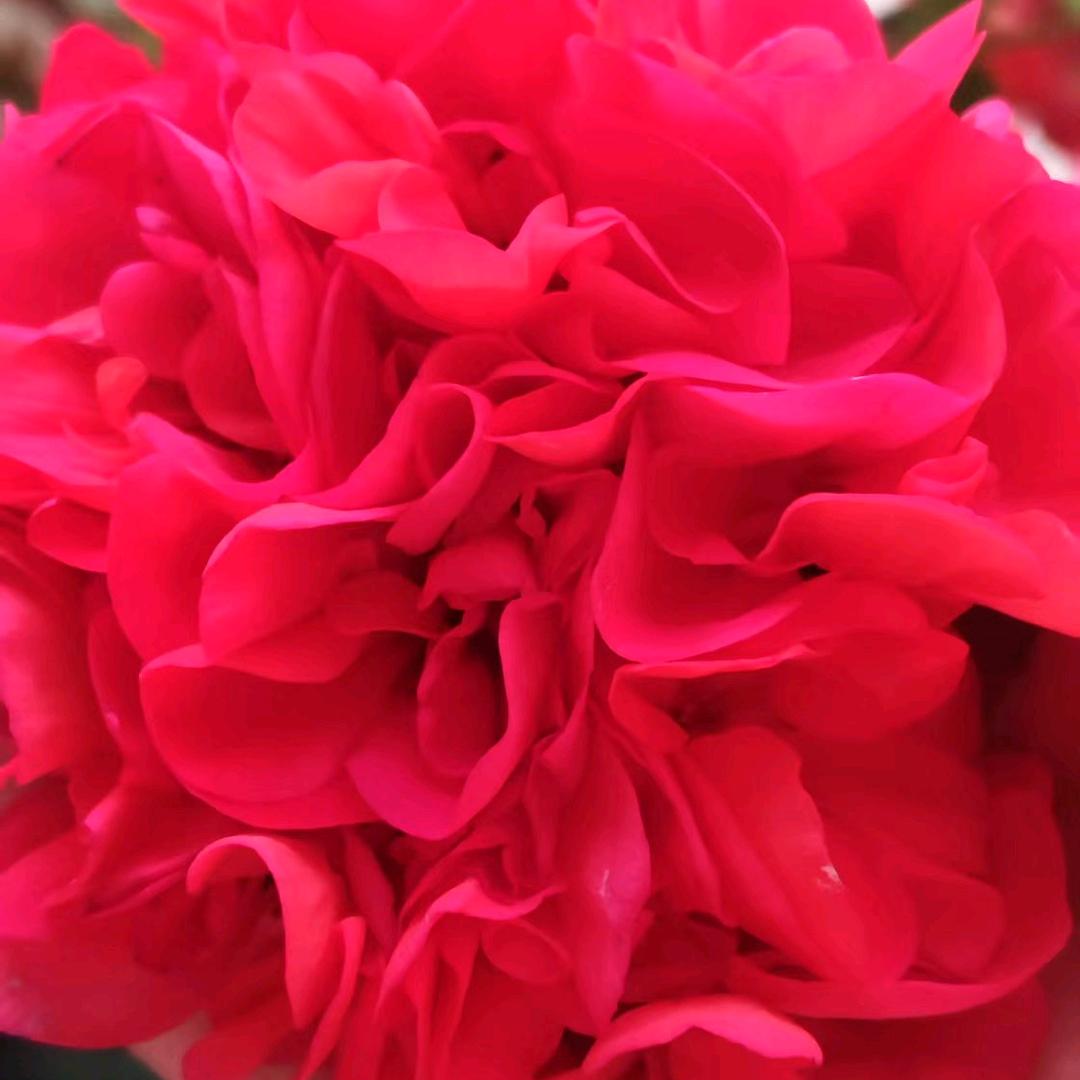 做自己喜欢的样子