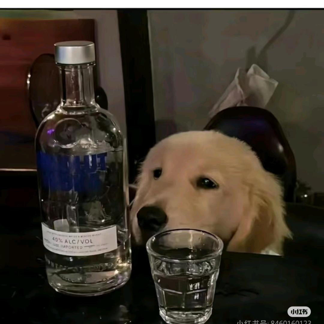 百奇
