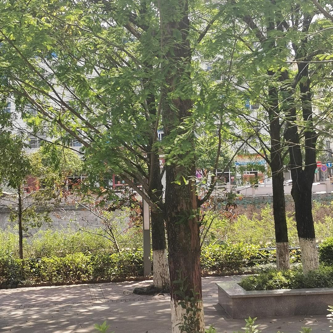 命苦的女人过的最苦