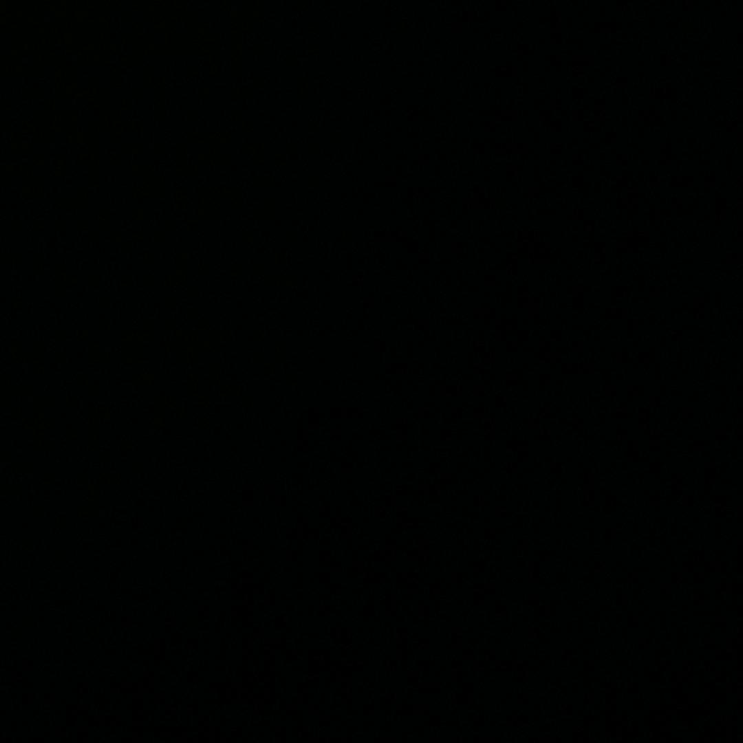 【野馬●傳說】Mister Jiang